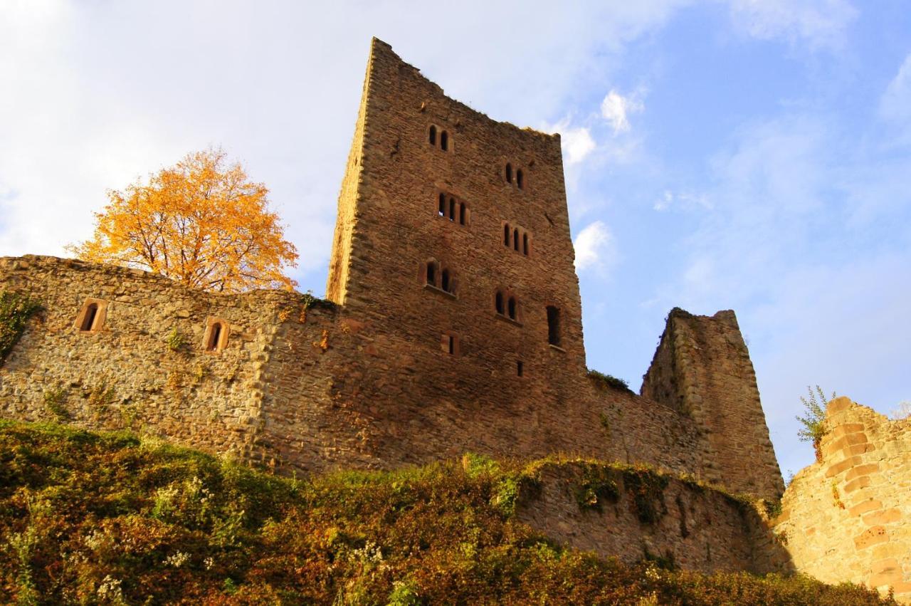 Schauenburgblick Lägenhet Oberkirch  Exteriör bild